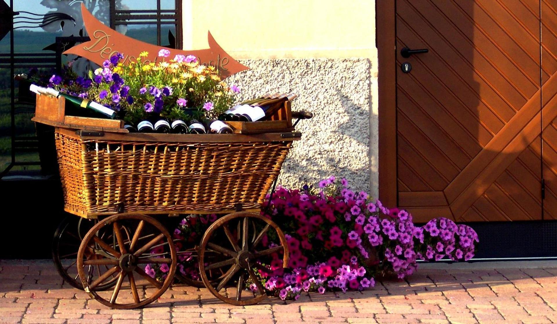 Chez Romane - Appartement Avec Parking Рикевир Экстерьер фото